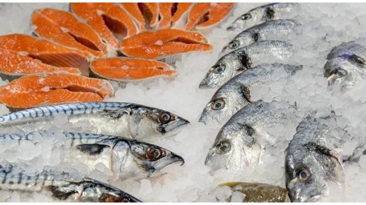 В Приморье создали оптово-распределительный центр, который будет реализовывать рыбу по доступным ценам
