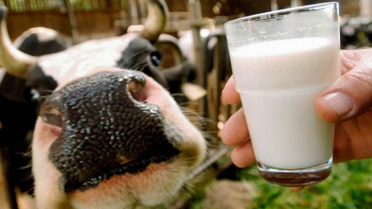 В России растет производство молочных продуктов