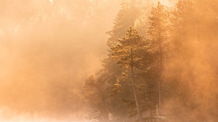 В ХМАО ожидается туман и гололёд 11—12 ноября