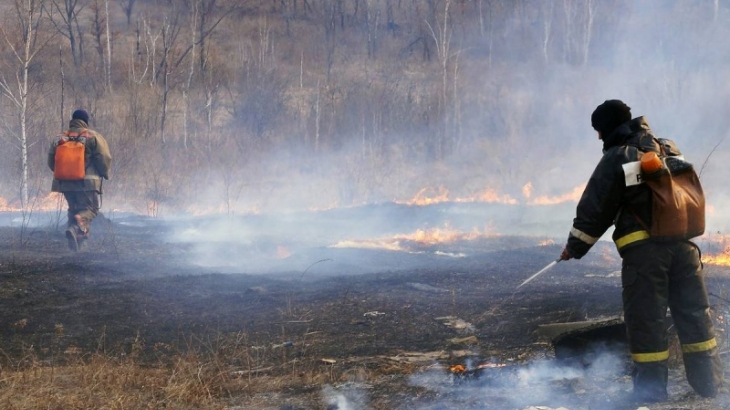 Ситуация с природными пожарами в российских регионах остается сложной