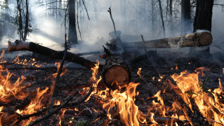 В Ставропольском крае разработали схему тушения ландшафтных пожаров