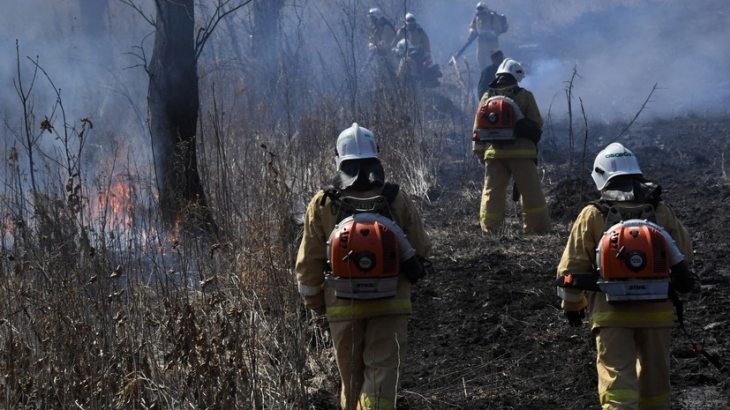 В России за сутки потушили 51 лесной пожар