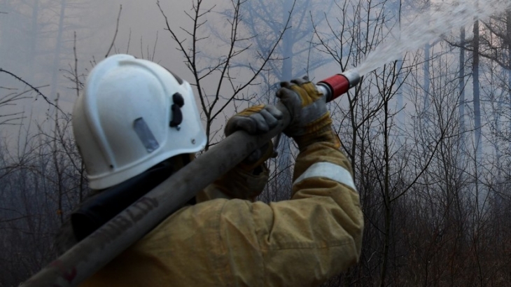 Григоренко заявил о локализации всех пожаров в Рязанской области