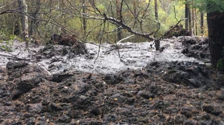 В Челябинской области в лесу сошел гигантский оползень