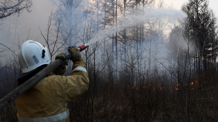 В России за сутки ликвидировали 81 лесной пожар