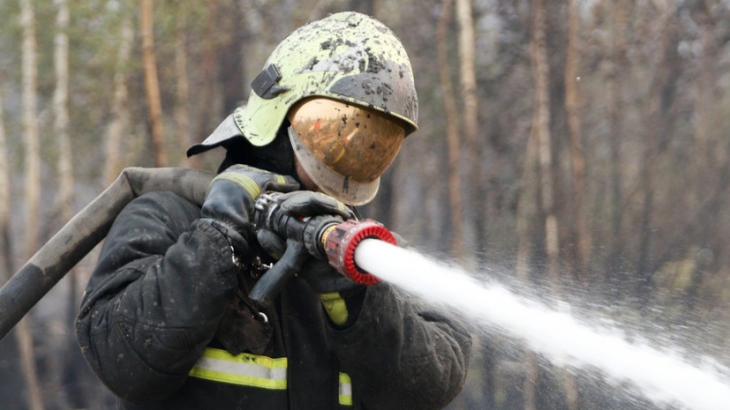 Глава Рослесхоза Советников: летний пик пожароопасного сезона продлится с июля по август