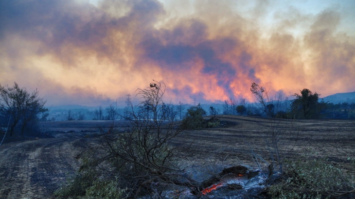 Число погибших из-за лесного пожара в Турции возросло до трёх