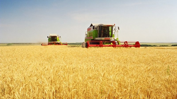 В Госдуму внесли законопроект об органическом сельском хозяйстве