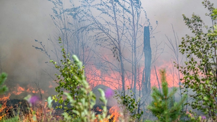 В одном из районов Приангарья ввели режим ЧС из-за лесных пожаров