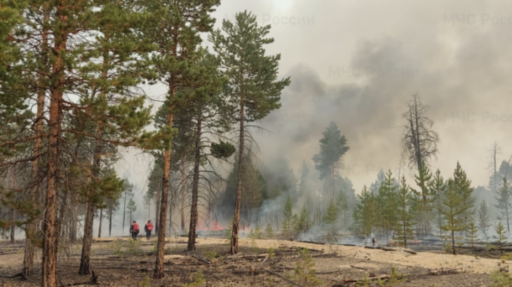 В России за сутки ликвидировали 109 лесных пожаров