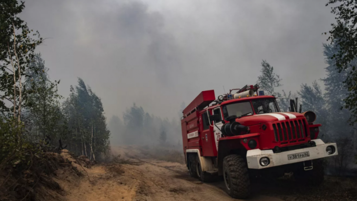 Площадь сгоревших в Рязанской области лесов превысила 30 тысяч га