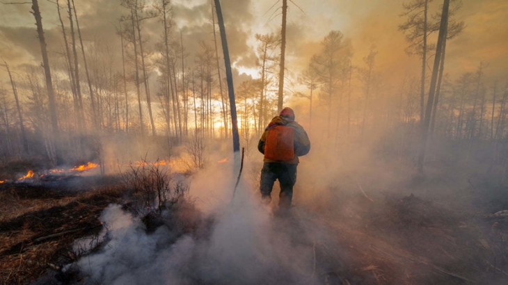 В России за сутки потушили девять лесных пожаров