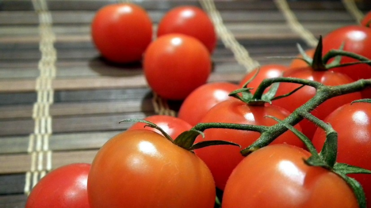 Минсельхоз России увеличил квоту ввоза томатов из Турции