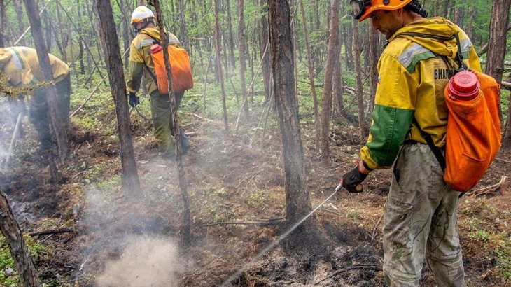 В России число действующих лесных пожаров сократилось до трёх