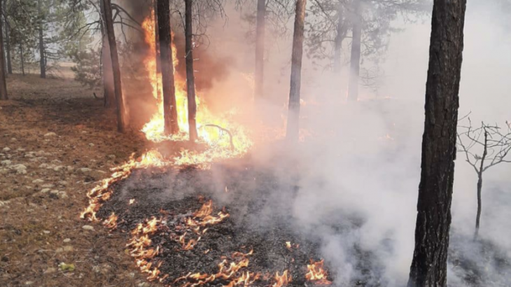 В Якутии тушат лесные пожары на площади более 360 га
