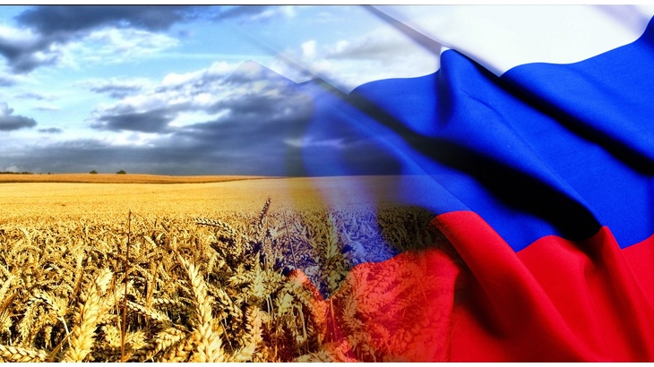 Россия заработает на зерне $7–8 млрд
