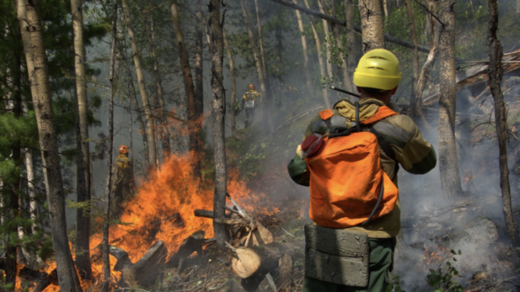 В России за сутки ликвидировали 106 лесных пожаров