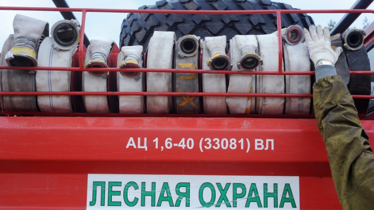 В России за сутки ликвидировали 92 лесных пожара