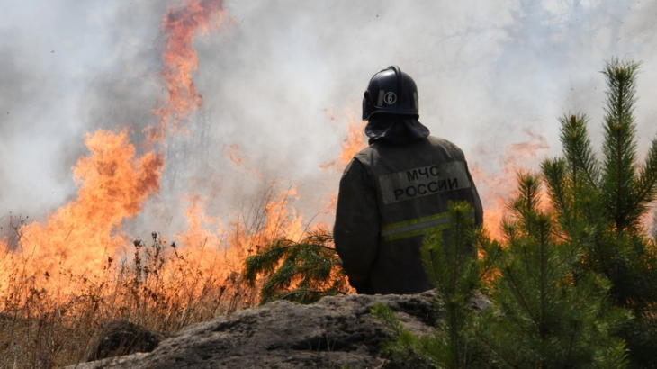 В Тюменской области за сутки выявили 11 лесных пожаров