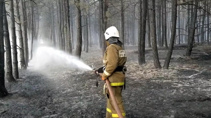 В Нижегородской области заявили о ликвидации лесного пожара в Воротынском районе