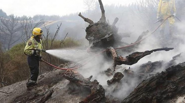 На Южном острове Новой Зеландии разворачивается самая масштабная в истории страны воздушная операция по тушению лесных пожаров