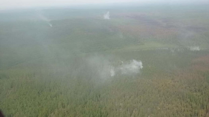 В России за сутки ликвидировали 105 лесных пожаров