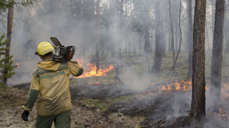 В России за сутки потушили 99 лесных пожаров