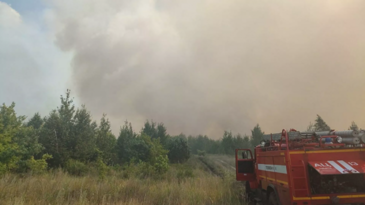 В Тольятти рассказали о ситуации с лесными пожарами