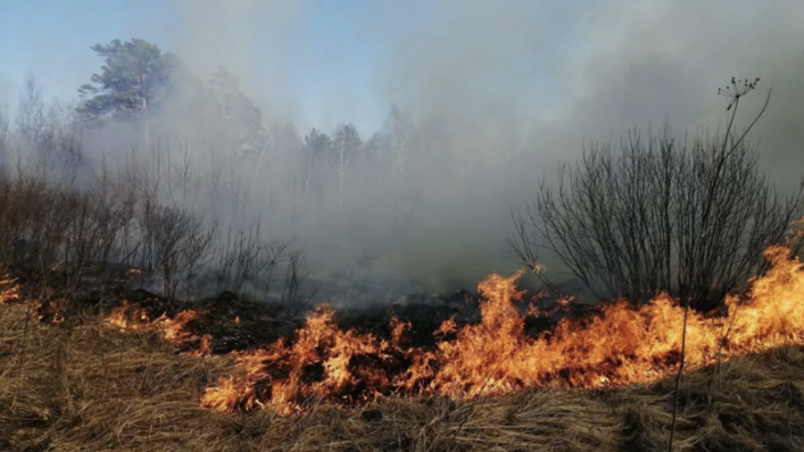 Ил-76 задействуют в тушении лесного пожара в Иркутской области
