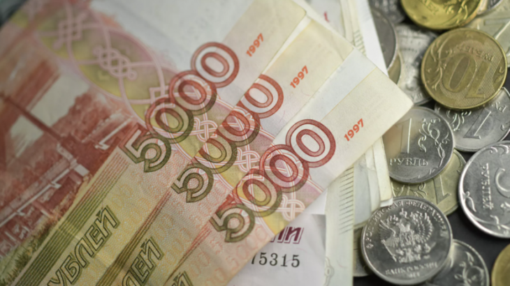 Более 2,2 млрд рублей господдержки выплатили сельхозпроизводителям Подмосковья