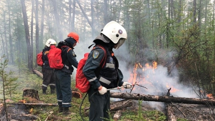 В России действует 125 лесных пожаров