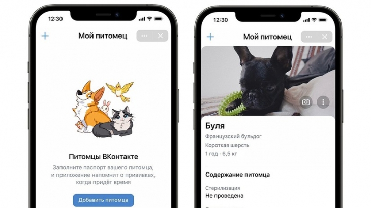 «ВКонтакте» представила сервис «Питомцы»