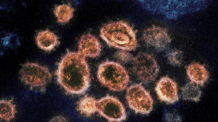 Учёные рассказали об эволюции коронавируса для лучшего распространения по воздуху