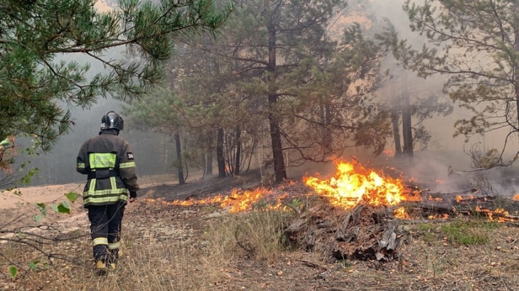 Власти Рязанской области сообщили, что огонь на самом сложном направлении удалось сдержать