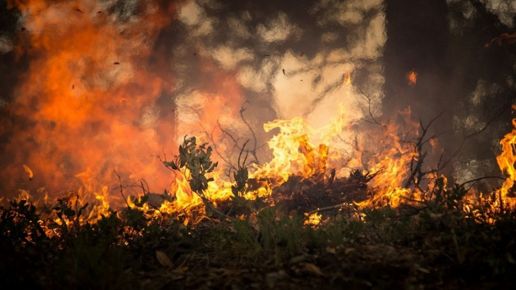 Синоптики предупредили о сохранении пожароопасности в Татарстане