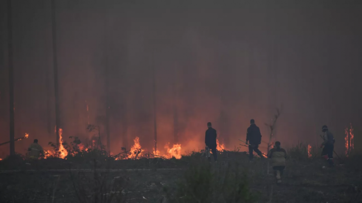 Десять природных пожаров потушили за сутки в Свердловской области